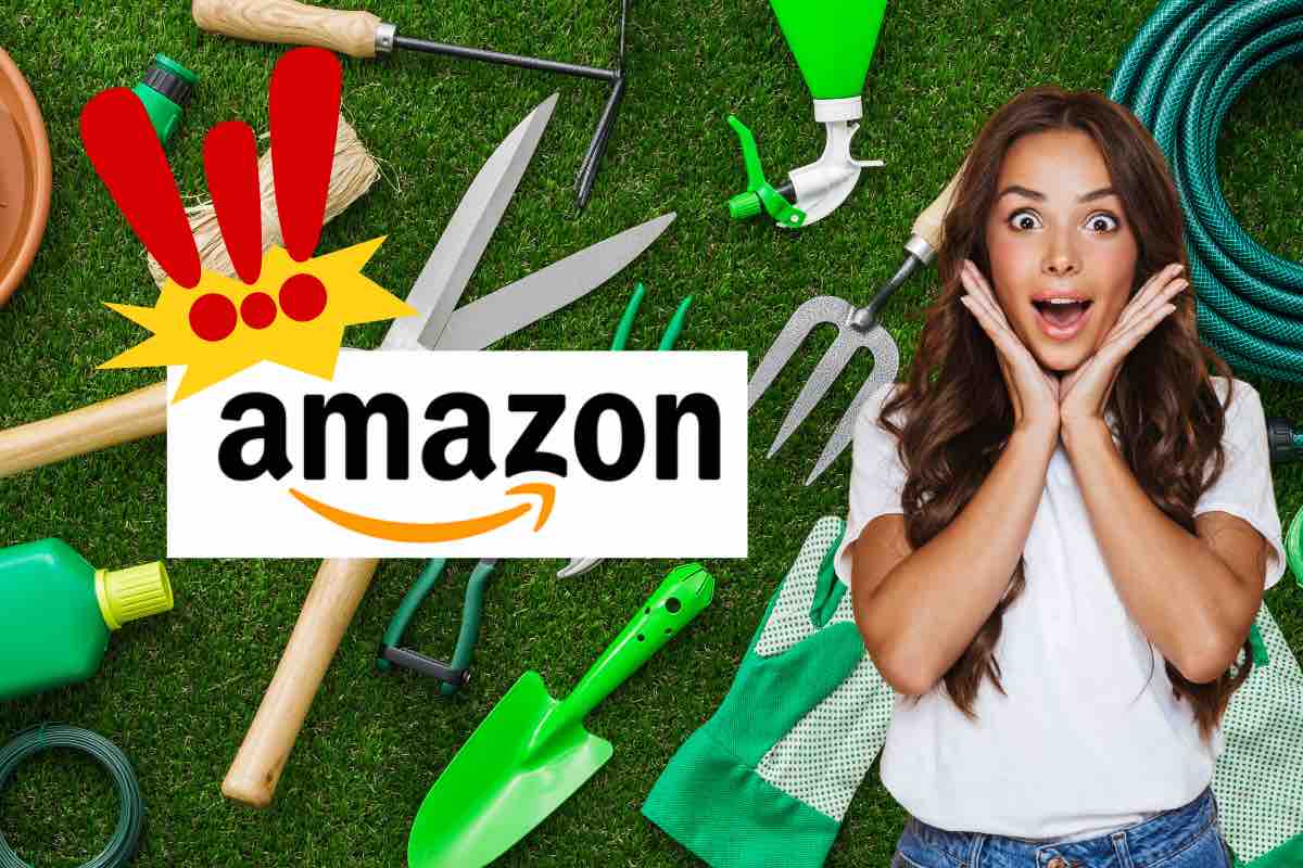 Amazon