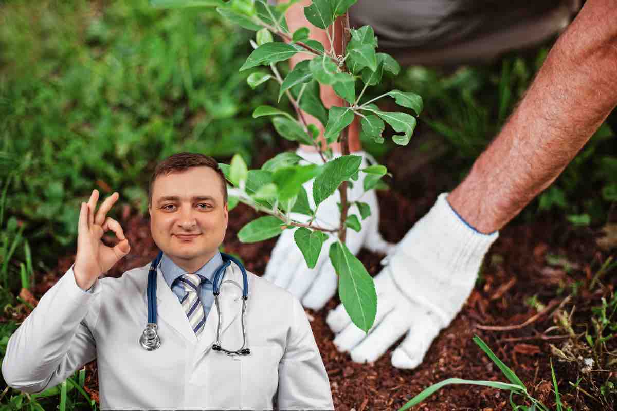 Salute e giardino