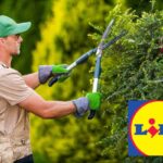 Offerte giardinaggio Lidl: il prodotto più richiesto va a ruba in poche ore
