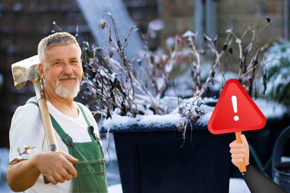 Freddo e giardino